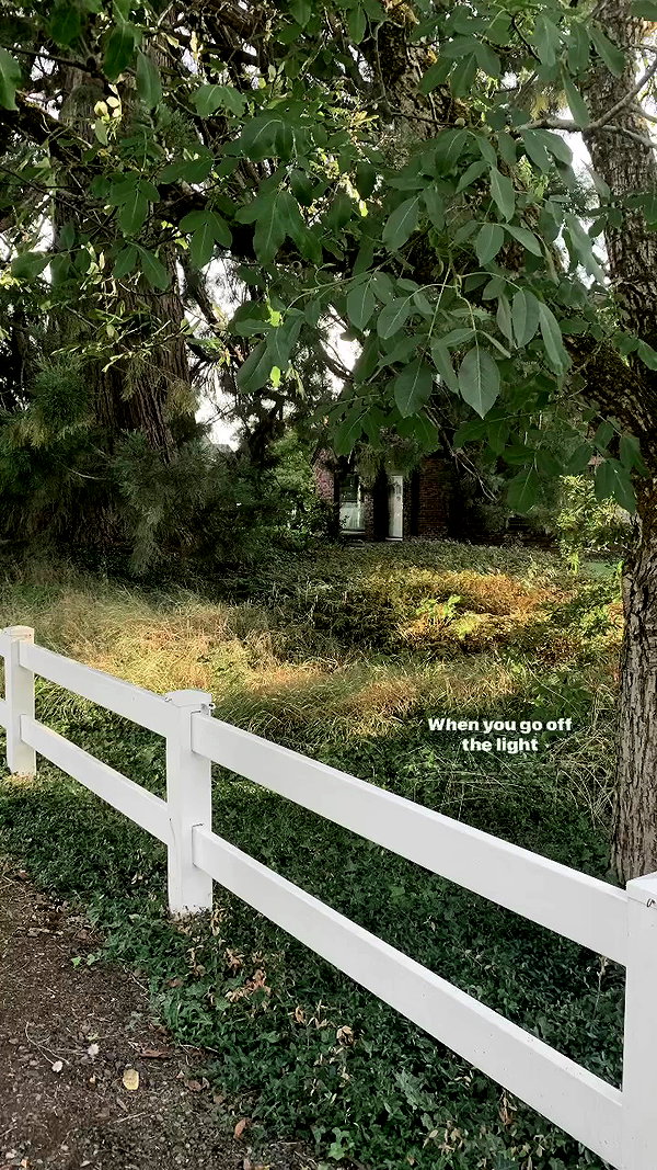 d0lli.ii archive video preview