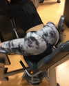 jailyneojeda Altpins Profile Picture