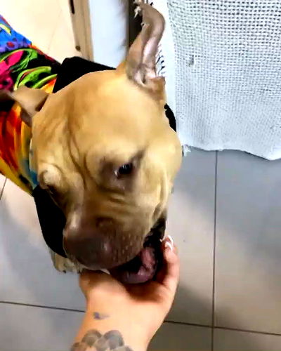 kesemgreenyer kesemgreenyer archive video