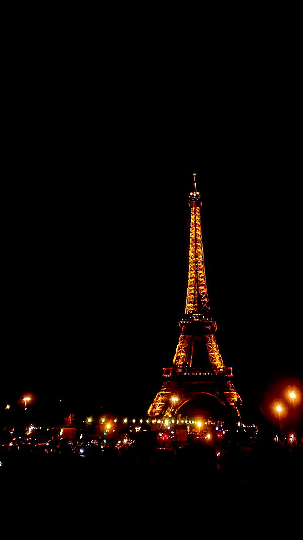 shirpeleg._ archive video preview