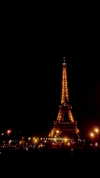shirpeleg._ Altpins Profile Picture