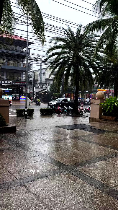 noammalka___ noammalka___ archive video