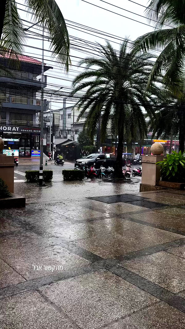 noammalka___ archive video preview