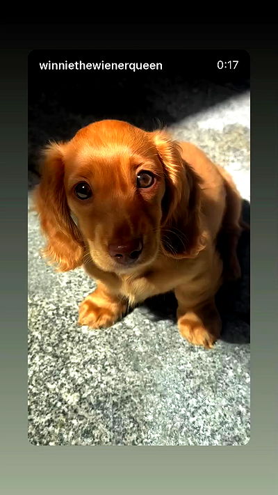 _._dianush._ _._dianush._ archive video