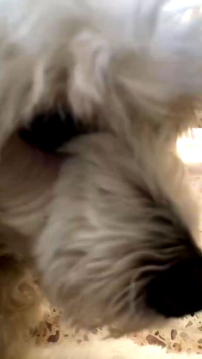 feelbetterinmysweater feelbetterinmysweater archive video