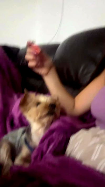 shelly_.mor shelly_.mor archive video