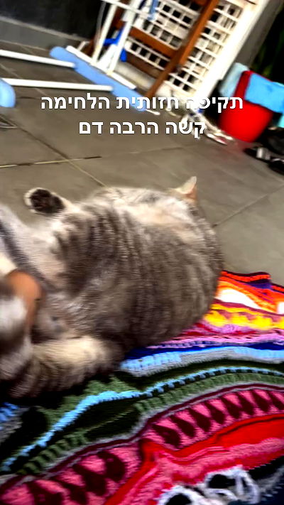 natalllluli natalllluli archive video