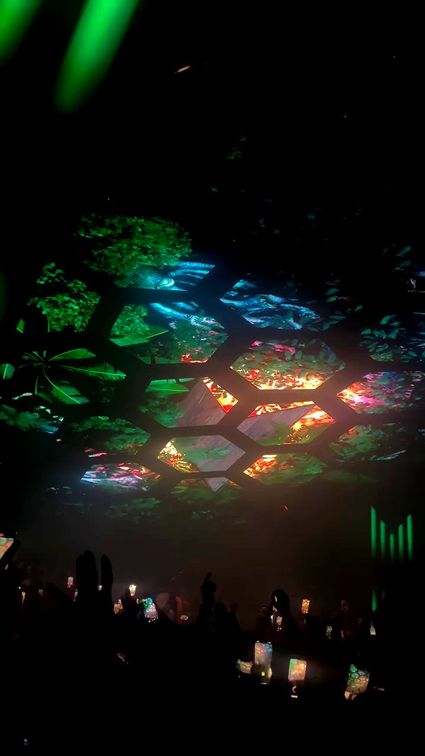 ellauk archive video preview
