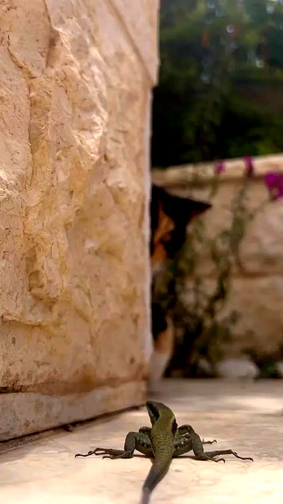 itsilanosh itsilanosh archive video