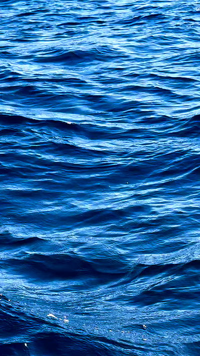 romy_ayalla_lavi romy_ayalla_lavi archive video