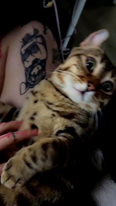 laurinchhhe laurinchhhe archive video