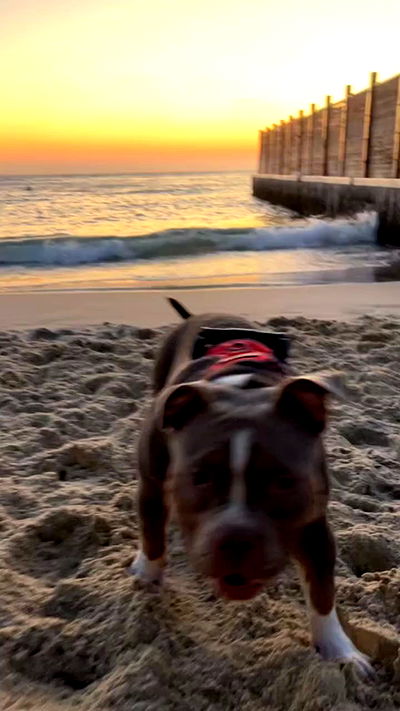 kesemgreenyer kesemgreenyer archive video