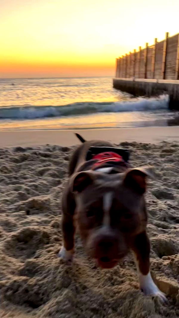 kesemgreenyer archive video preview