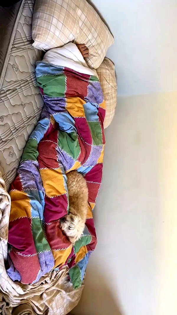 feelbetterinmysweater archive video preview