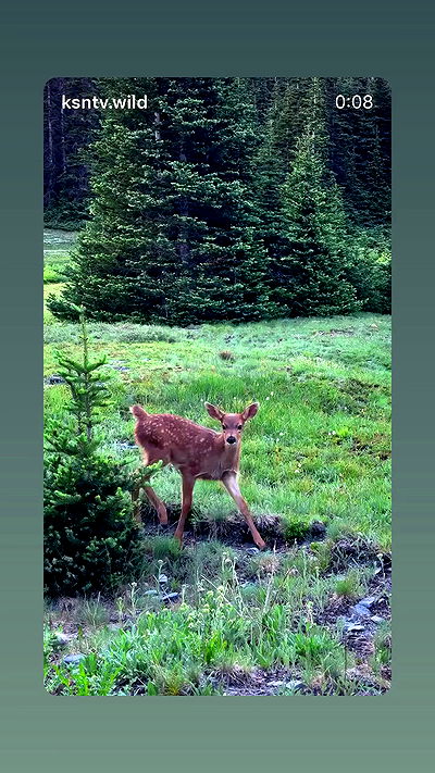 efrat_elmalich efrat_elmalich archive video