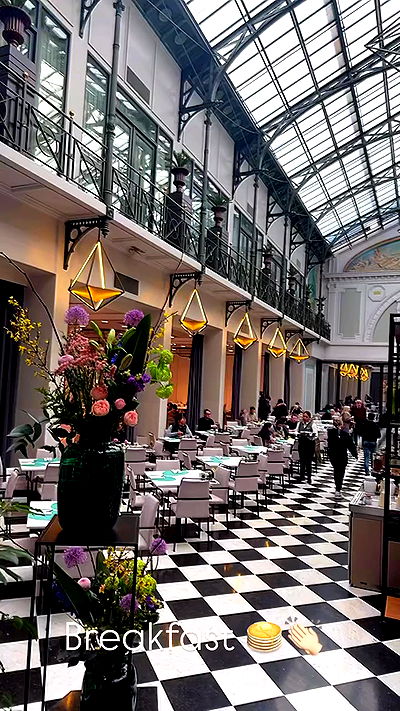 seilorkittyofficial seilorkittyofficial archive video