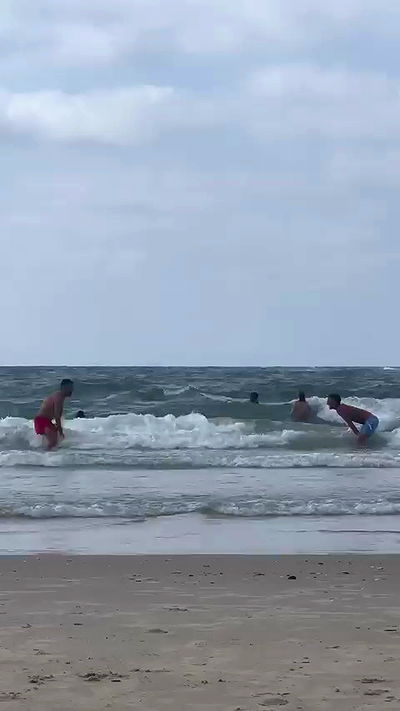 iambohema.v2 iambohema.v2 archive video