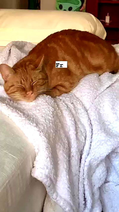 winbun.io winbun.io archive video