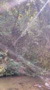d3ad.doll Altpins Profile Picture