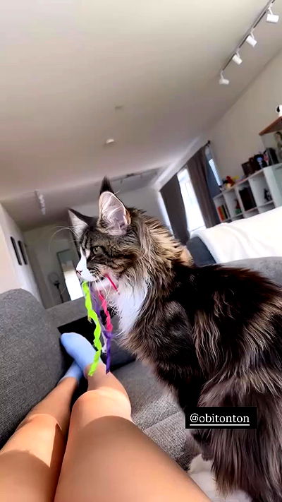 silkton silkton archive video