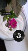zz.eazoning Altpins Profile Picture