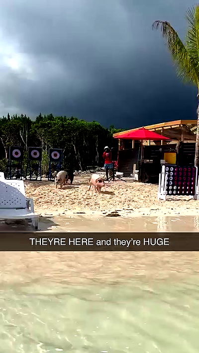 sophieraiin sophieraiin archive video