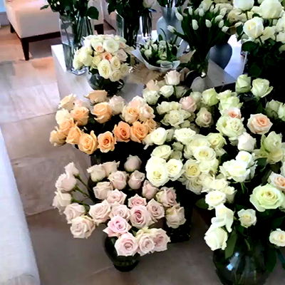 iamcardib iamcardib archive video