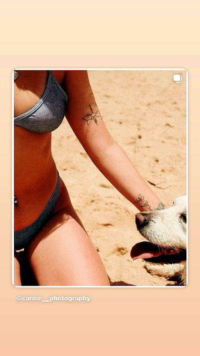 jaroslava_klavir jaroslava_klavir archive video