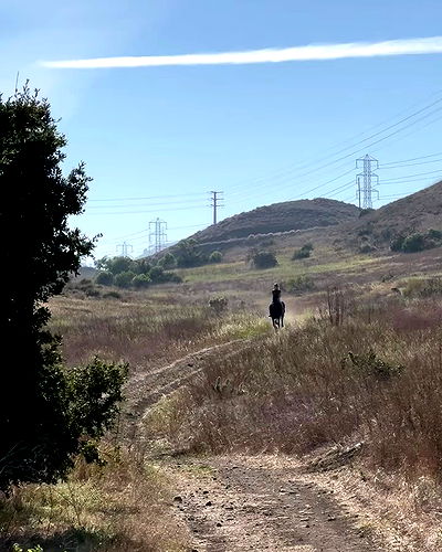 carolinezalog carolinezalog archive video