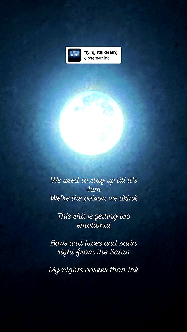 moonliliaght archive video preview