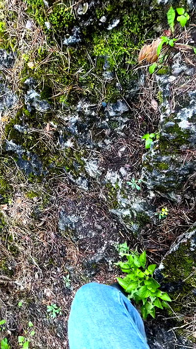 quincymood quincymood archive video