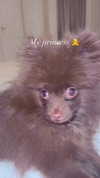 lizakovalenkoo Altpins Profile Picture