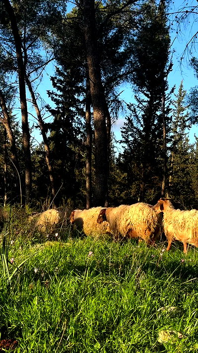 alisa.paigin alisa.paigin archive video