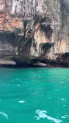 shelly_roberin Altpins Profile Picture