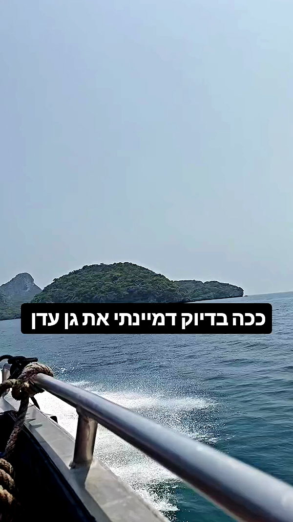 noy__erel archive video preview