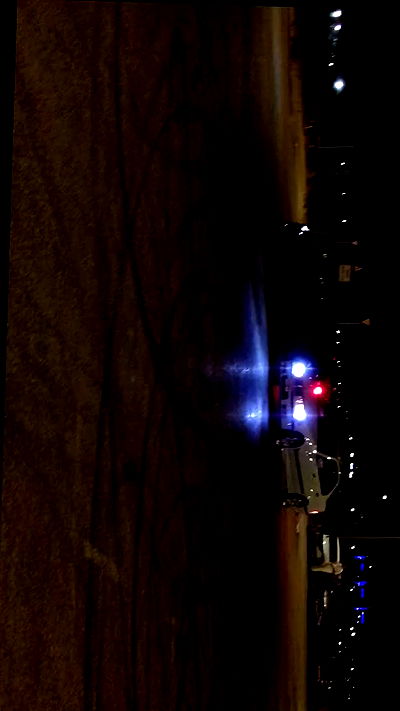 simp_for_cats_ simp_for_cats_ archive video