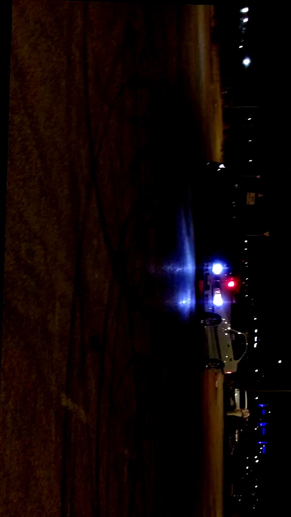 simp_for_cats_ archive video preview