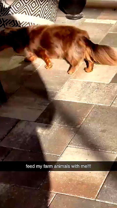 sophieraiin sophieraiin archive video