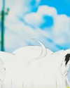 shim.anel Altpins Profile Picture