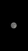angxl.sky Altpins Profile Picture