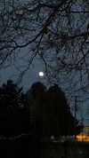 astarwbry_ Altpins Profile Picture