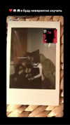 harumichx Altpins Profile Picture