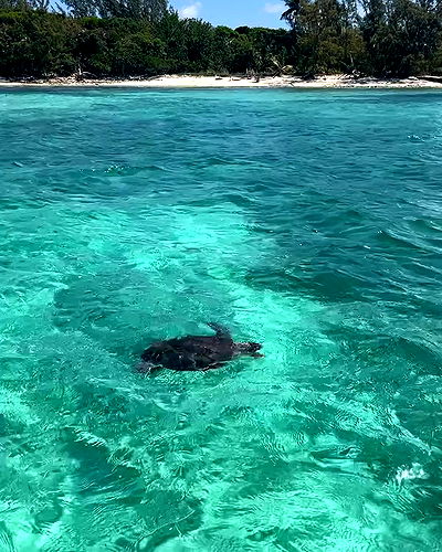 payton.r payton.r archive video