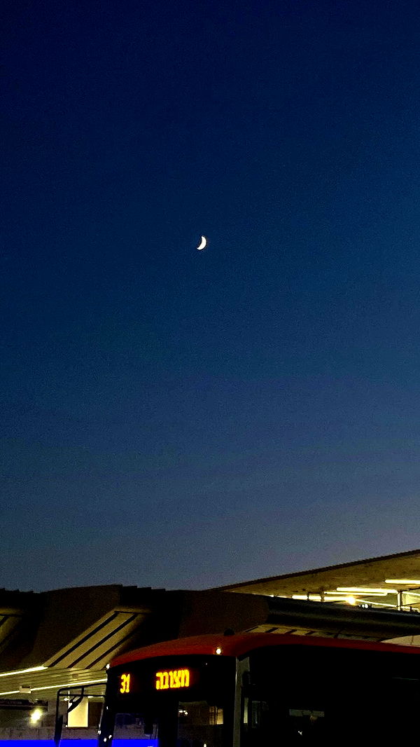 feelbetterinmysweater archive video preview