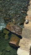sarah.anne.dipity Altpins Profile Picture