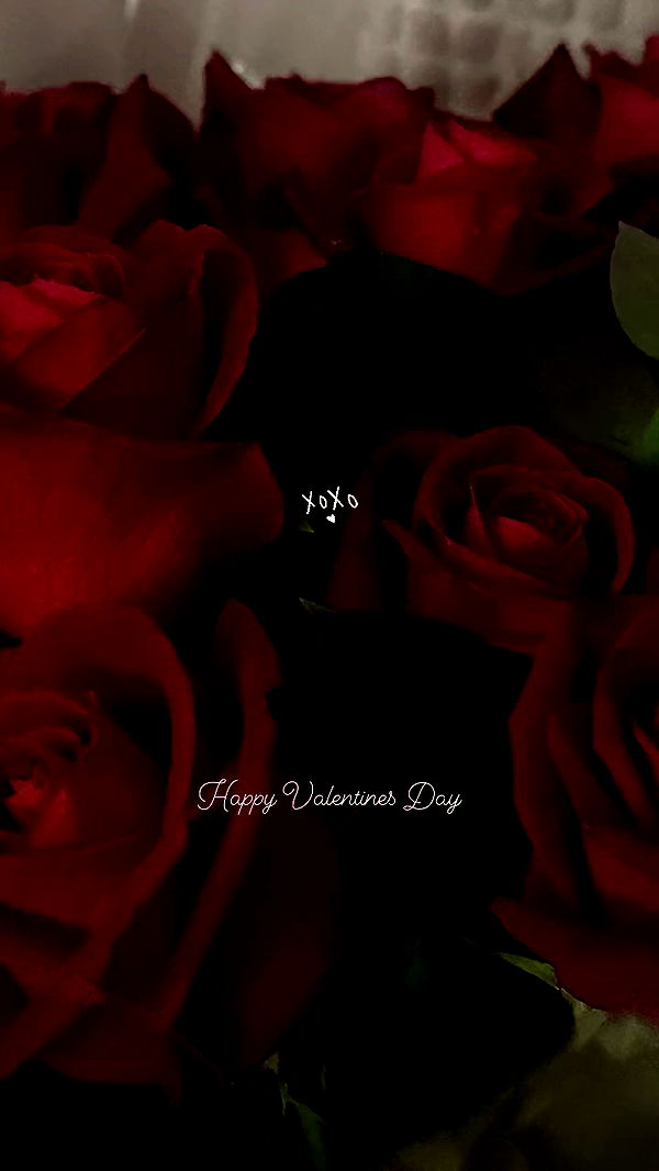 liashaked archive video preview