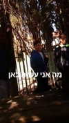 ___shachar Altpins Profile Picture