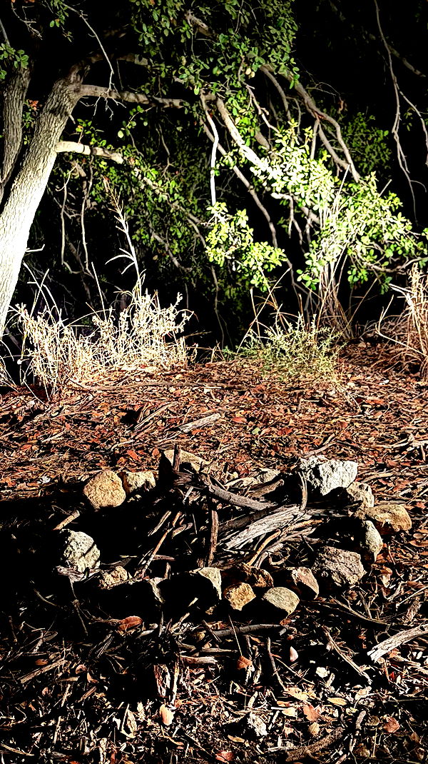 noyaislilith333 archive video preview