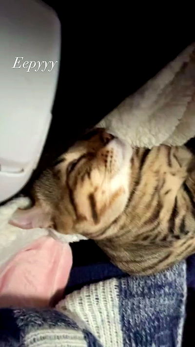 laurinchhhe laurinchhhe archive video