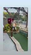 assoolin Altpins Profile Picture